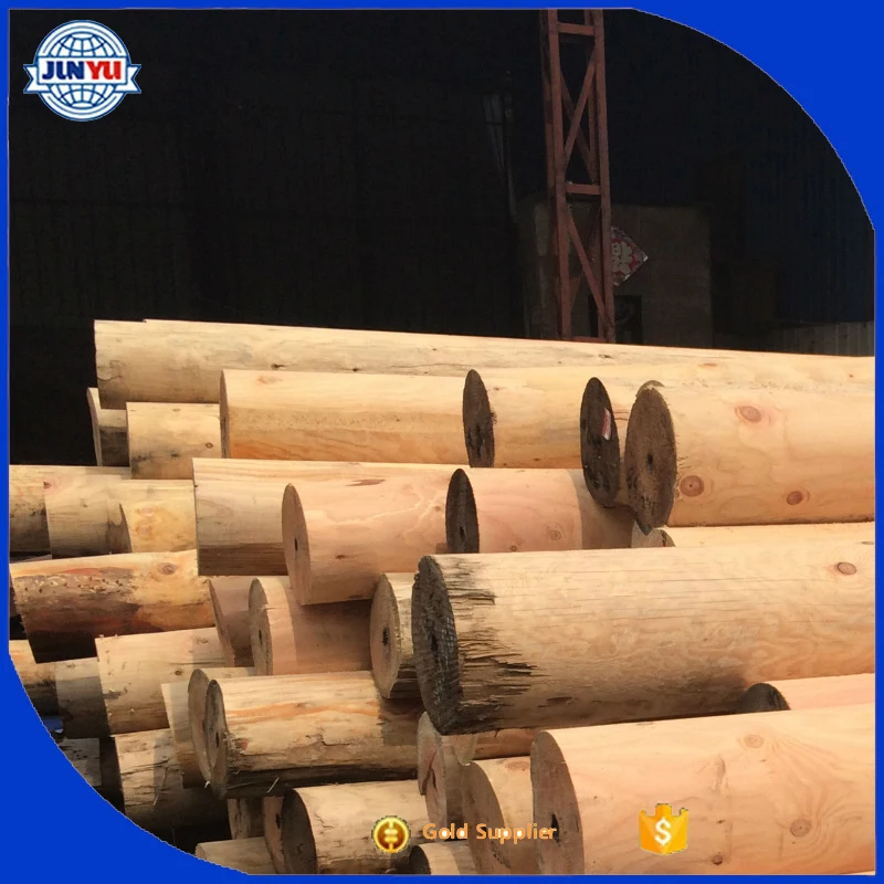 red pine lumber and logs red pine timber hot sale red pine logs export