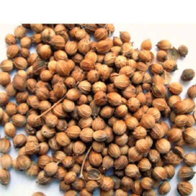 
High Quality 100% natural Coriander Seeds price supplier 