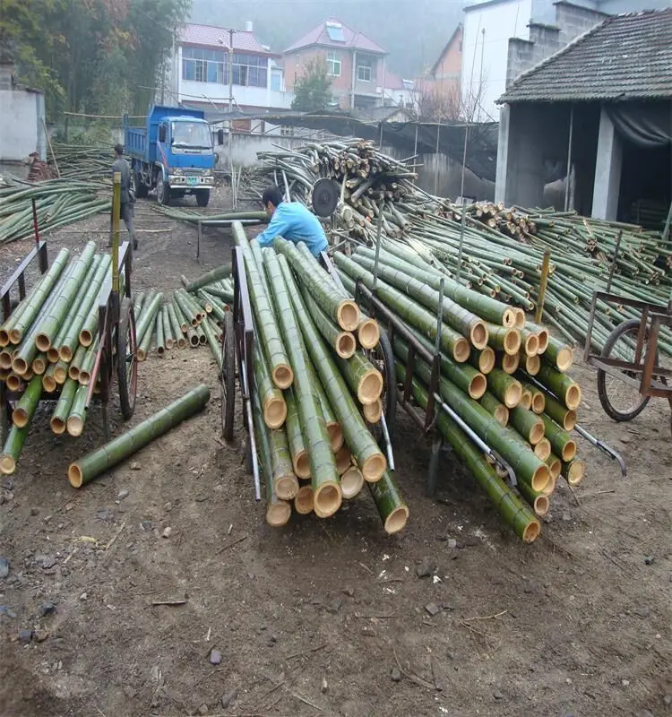 Large diameter bamboo raft wholesale