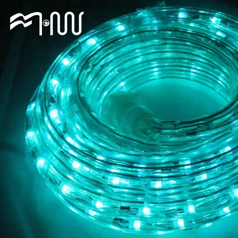 RGB Plastic outdoor festival led strip light rope light water tube light