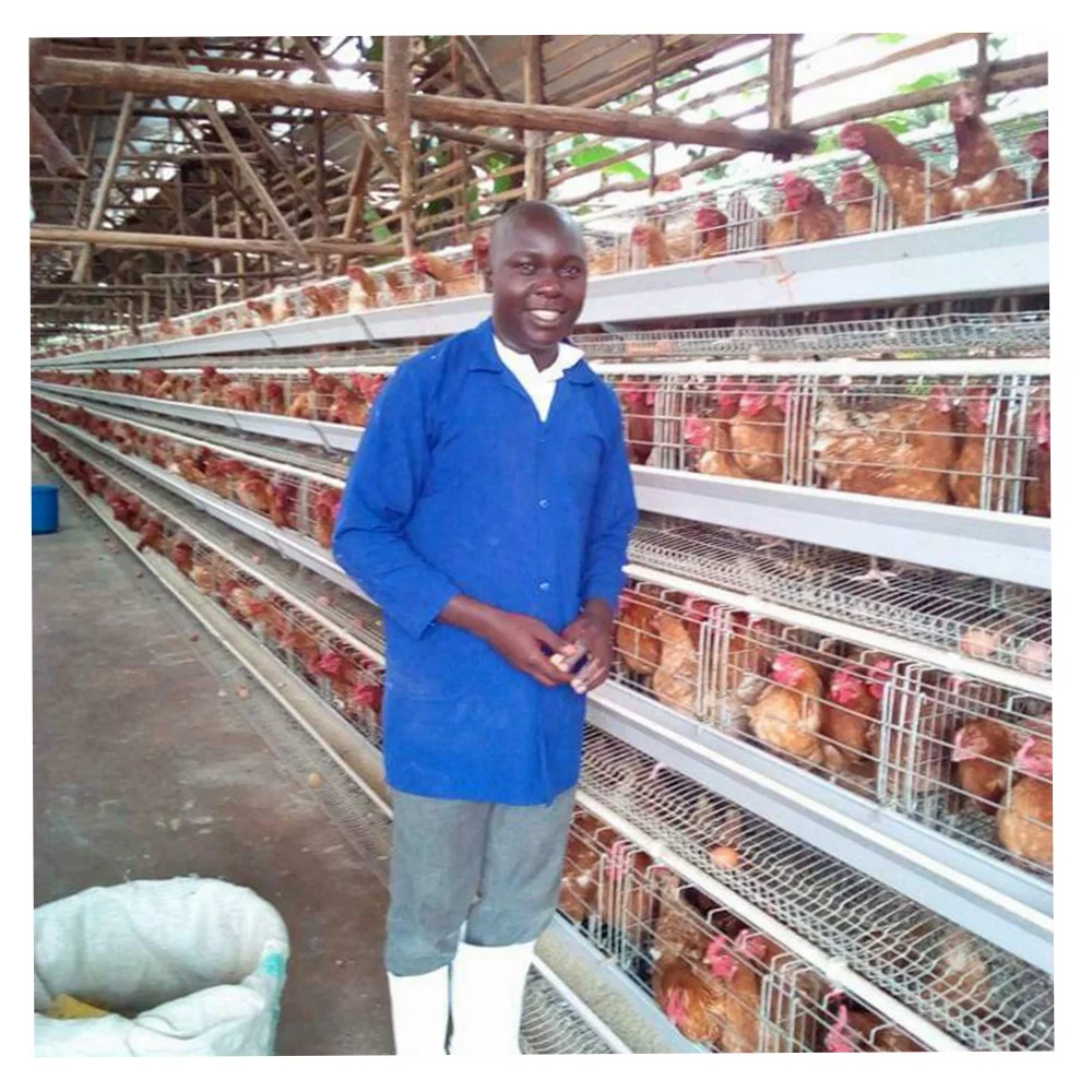 Клетка для кур, цена, Батарейная клетка для гановых ферм