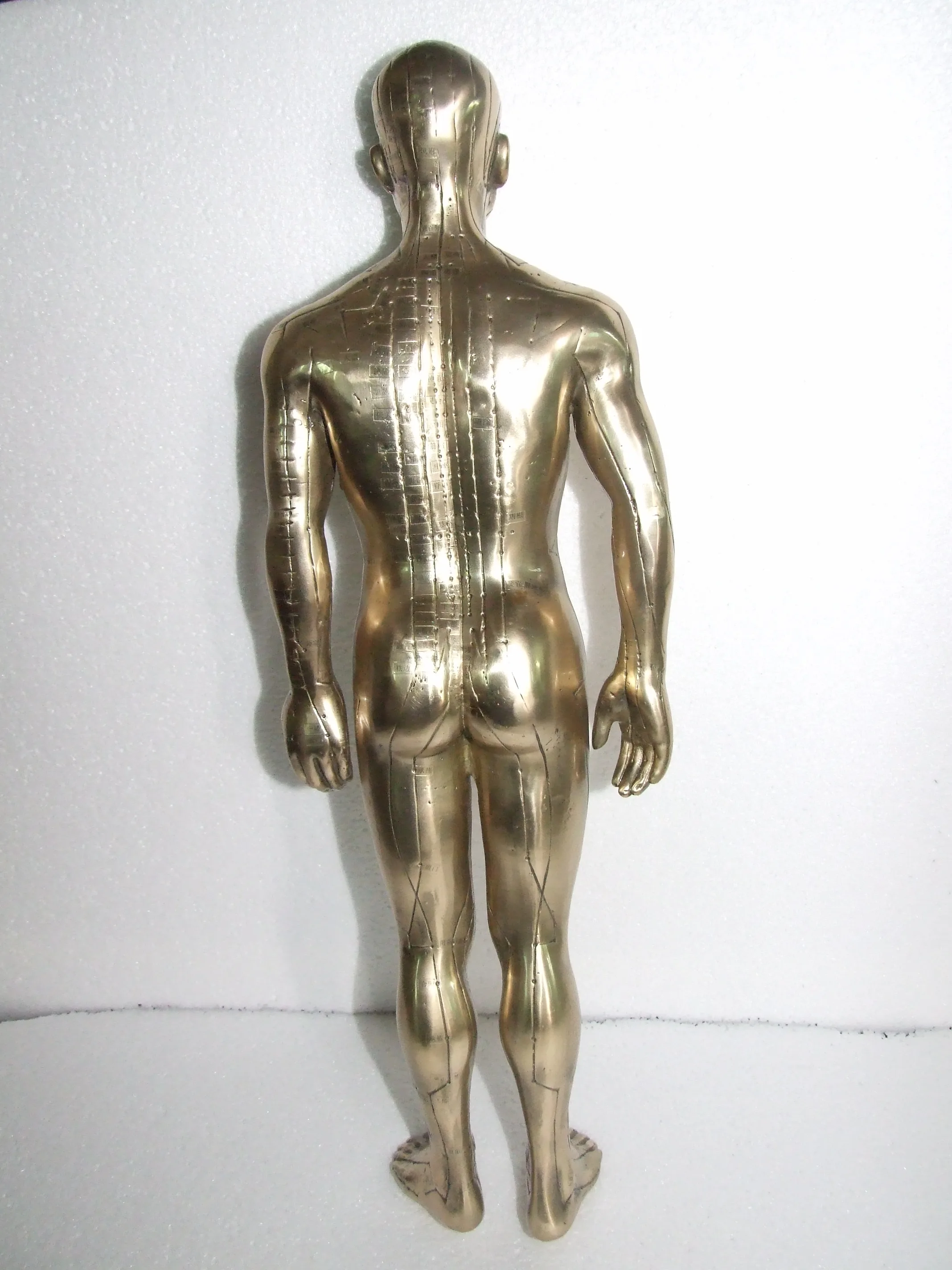 Chinese medical acupuncture human body model for acupuncture