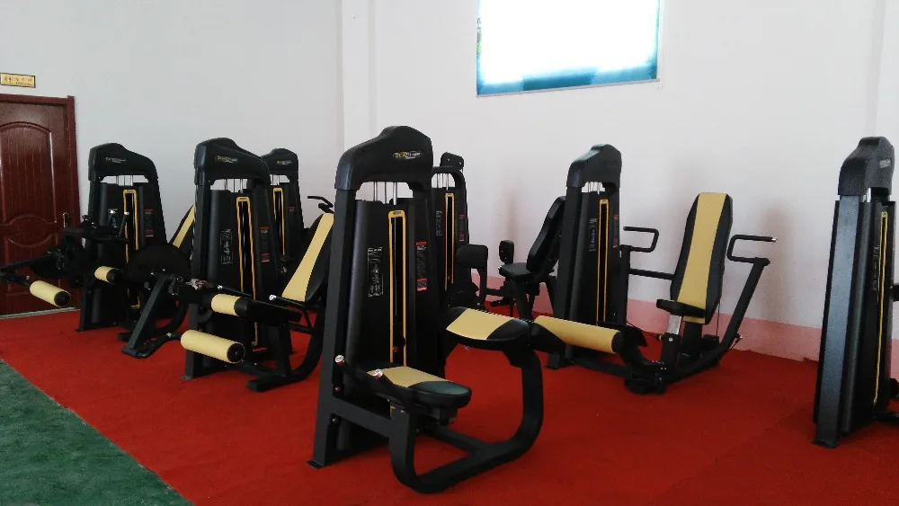 gym fitness equipment back extension bench