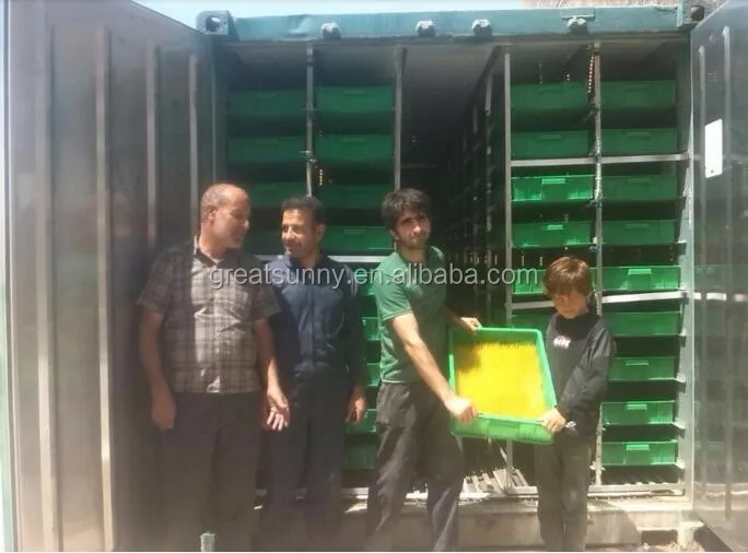 1tons fooder per day container type hydroponic system/fodder grass machine