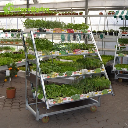 Decorative cc container cabriolet cart danish carts for sale