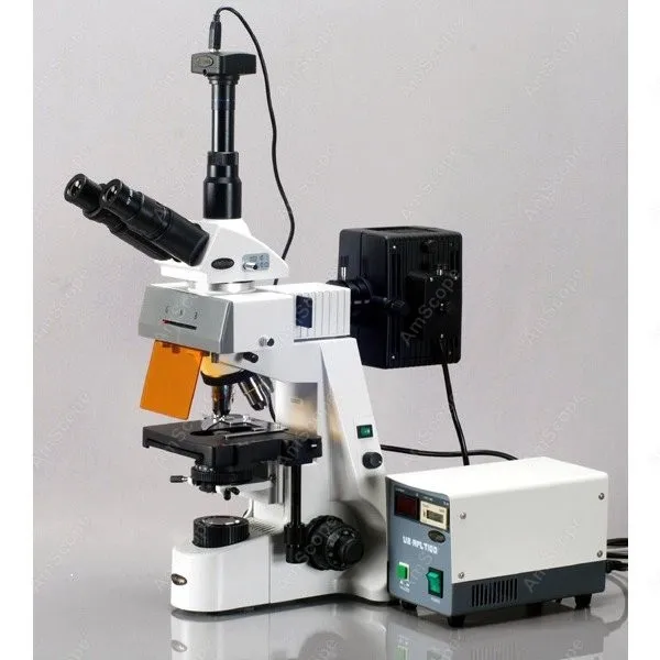 AmScope Supplies 40x-2500x Infinity Extreme Widefield EPI-Fluorescent Microscope