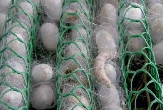 
Plastic Flat Netting used for silkworm breeding net making machine 