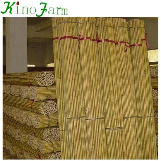  Сушеные палочки из