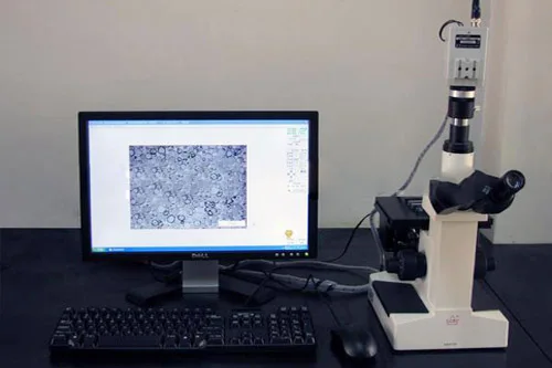 Вольфрамовая сковорода Wolfram для плавления золота