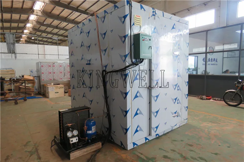 Manufacturer Made Cold Room For Vegetable / Ice / Fish / Meat Cold Storage