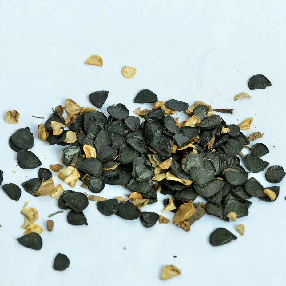 
S314 Jian ma Bulk Supply Outdoors Plants Agave Sisalana Seeds 