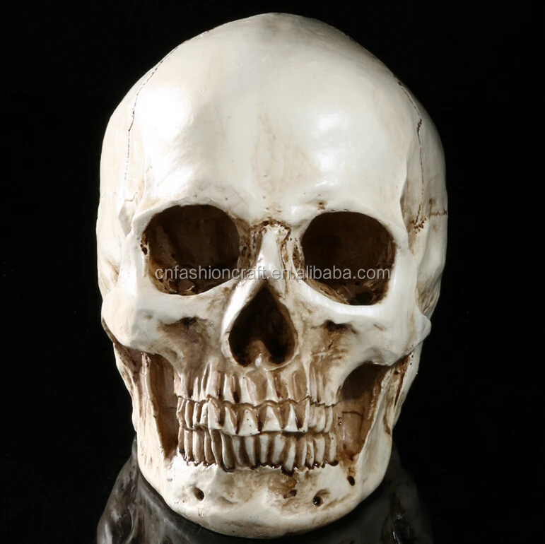 
Custom made skulls decorative resin wholesales halloween skull for crafts 
