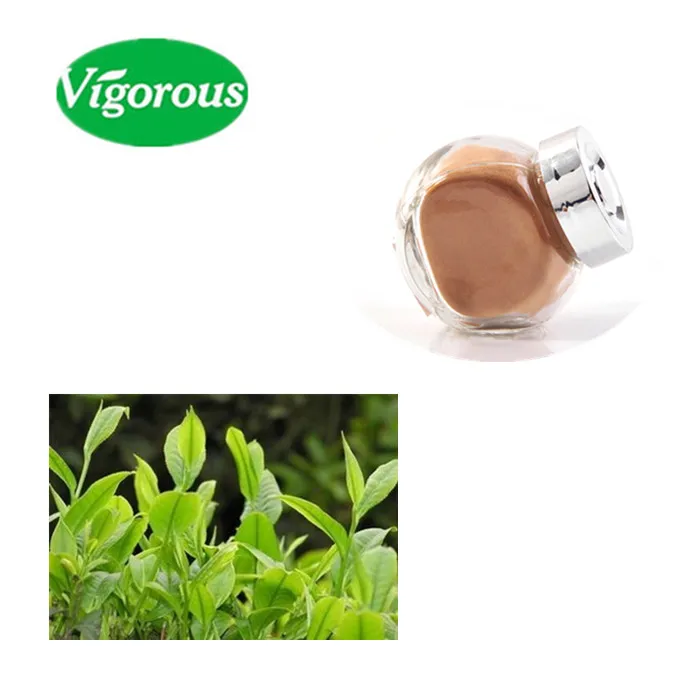 Yerba Mate Powder/Ilex paraguariensis P.E./Paraguay tea Extract