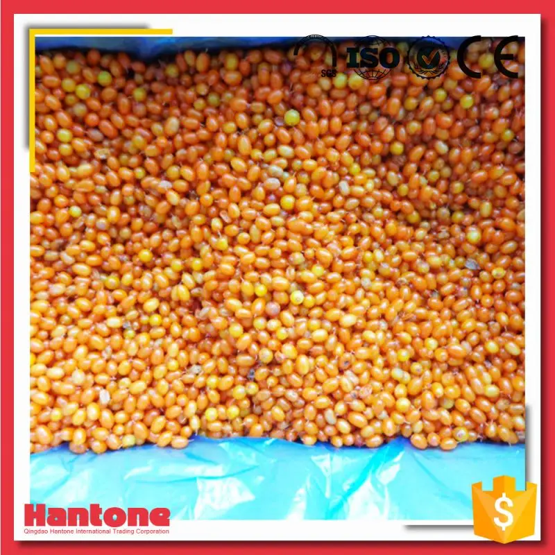 
Frozen Sea Buckthorn Berries Price For Sale 