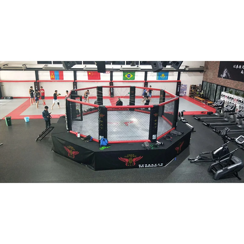 MMA competitive fighting cage pro octagon combat