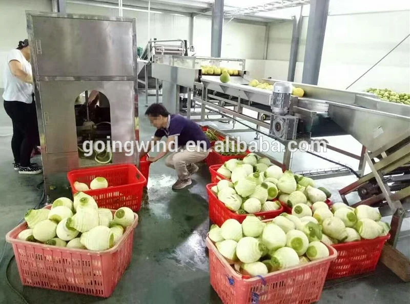 Automatic commercial orange peeling machine auto industrial mandarin oranges skinning and juicer equipment cheap price for sale