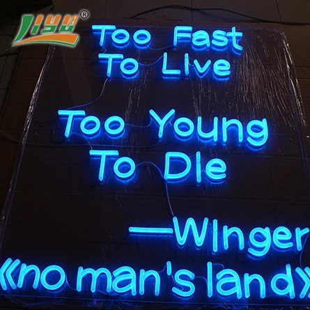 
Custom Decorative LED Neon Light Neon Lamp for Room 