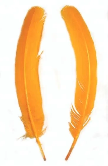 Turkey Feather Wings with Black / brown tip