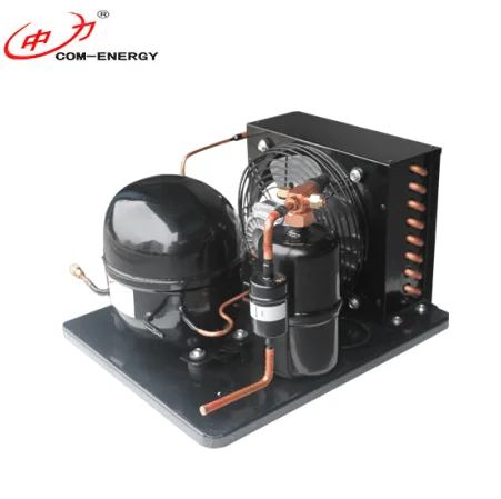 12V/24V DC Freezer condensing unit with various brand compressor
