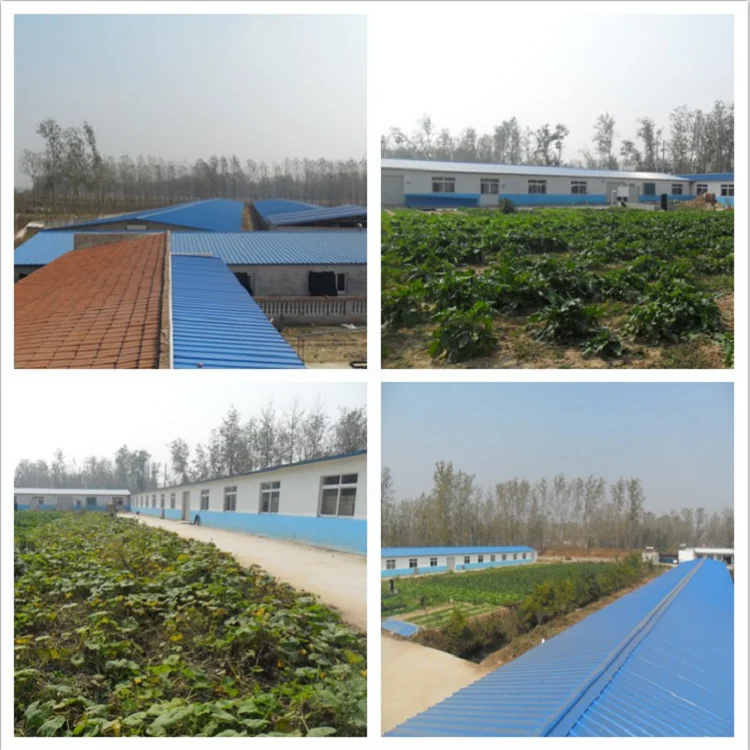 
Wholesale Super Worms Mealworms Dried for Aquarium Fish Food 