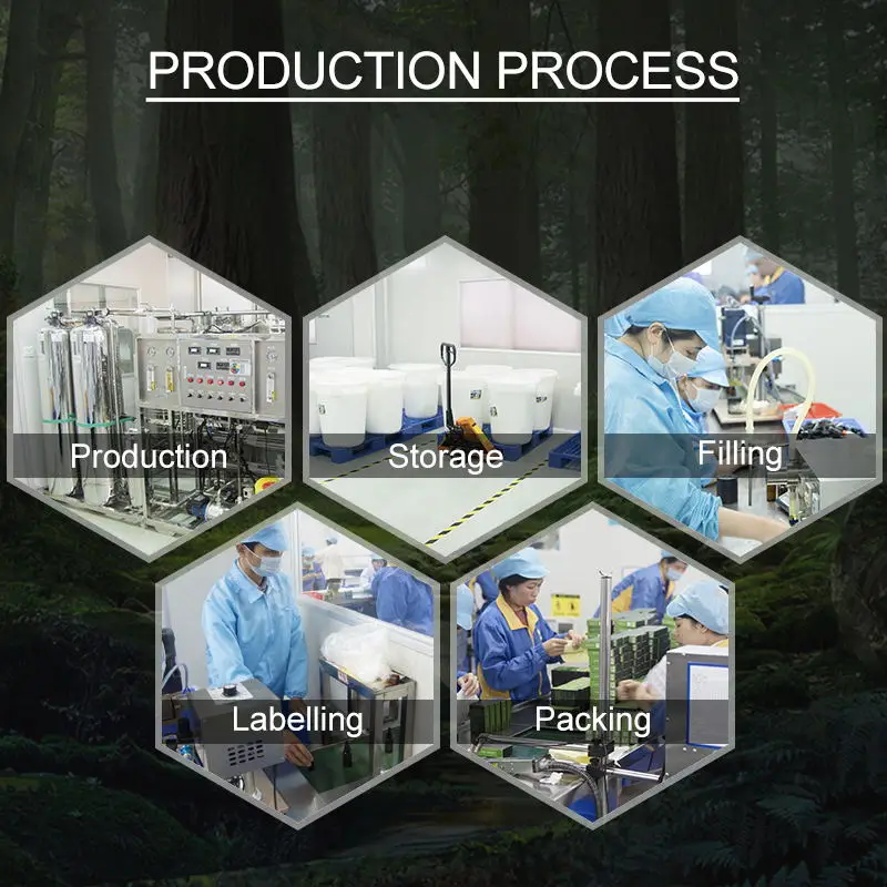 Baolin OEM 100% pure natural  Pine needle  essential oil  bulk price