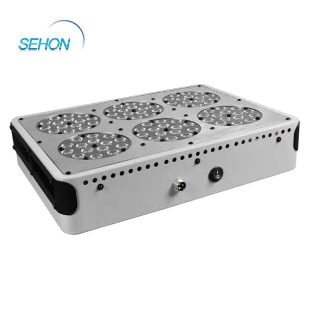 Hydroponics Equipment Tomato Seeds Grow Kit 270W Apollo 6 Led Grow Light