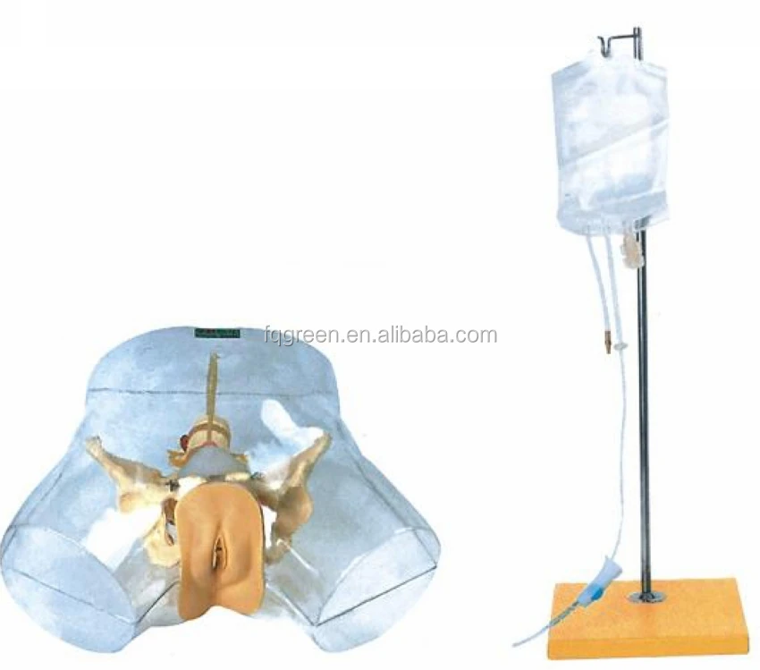 Professional Female Catheter Training Simulator Urinary Catheterization Nursing Practice Simulator