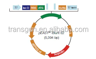 
TransGen Biotech pEASY-Blunt E1 Expression Kit-Expression Plasmid Vector 