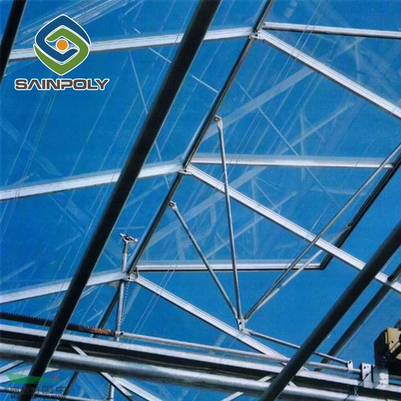 Продажа высококачественных Стеклянных гидропонных томатных панелей для теплиц