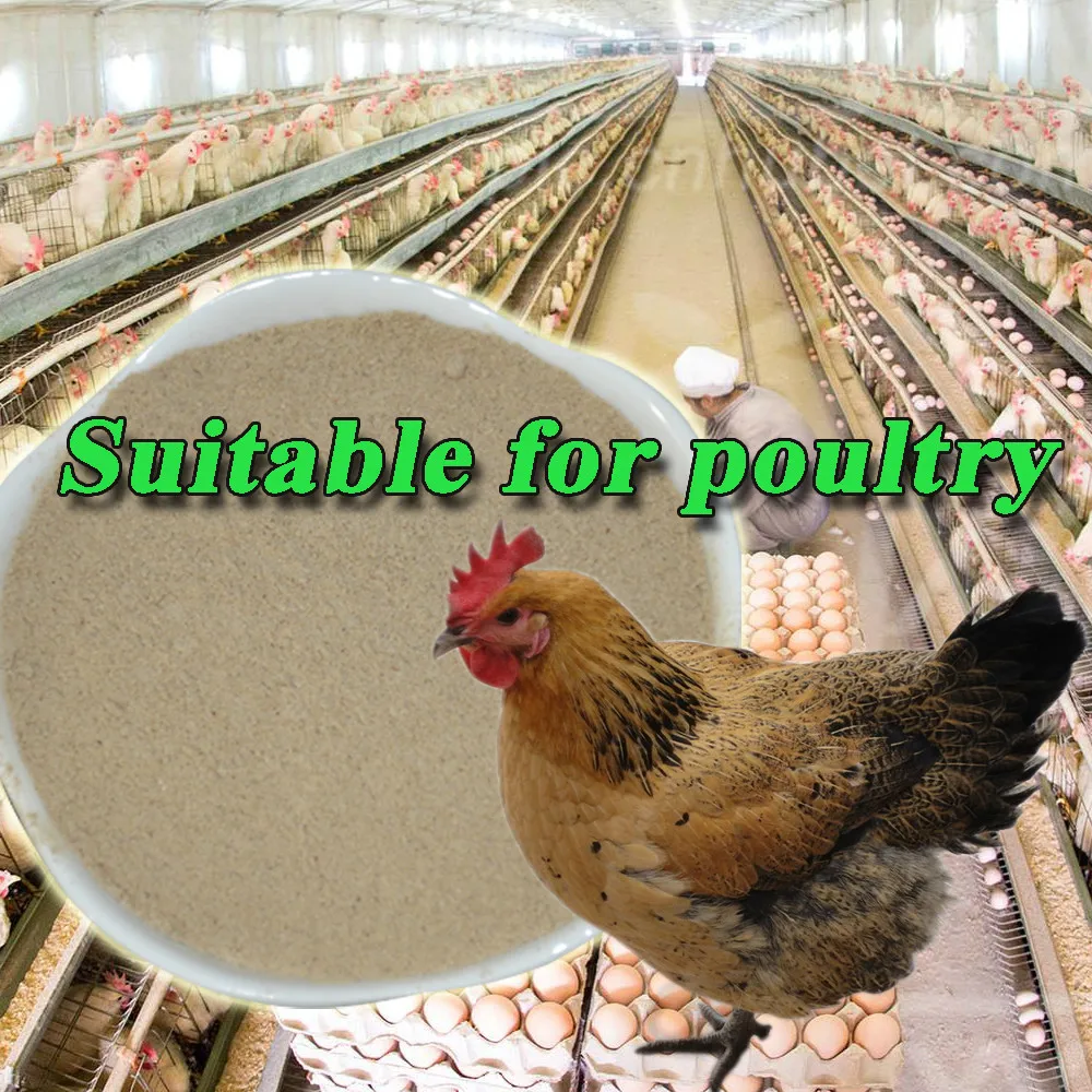 Предотвращение кишечная коррупции, сократить потребление жира пивные дрожжи 40%,45%