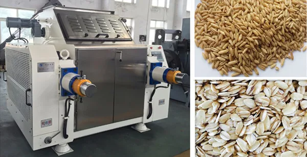 Complete Oat Flakes Production Line Instant Oatmeal Processing Plant Oatmeal Making Machine Food Processing Industry Grain, Oats