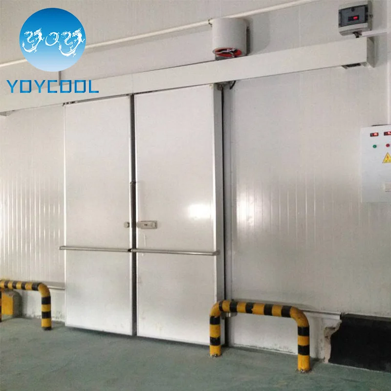 Энергосберегающие ходить в морозильник пользовательские холодная комната для хранения банк крови