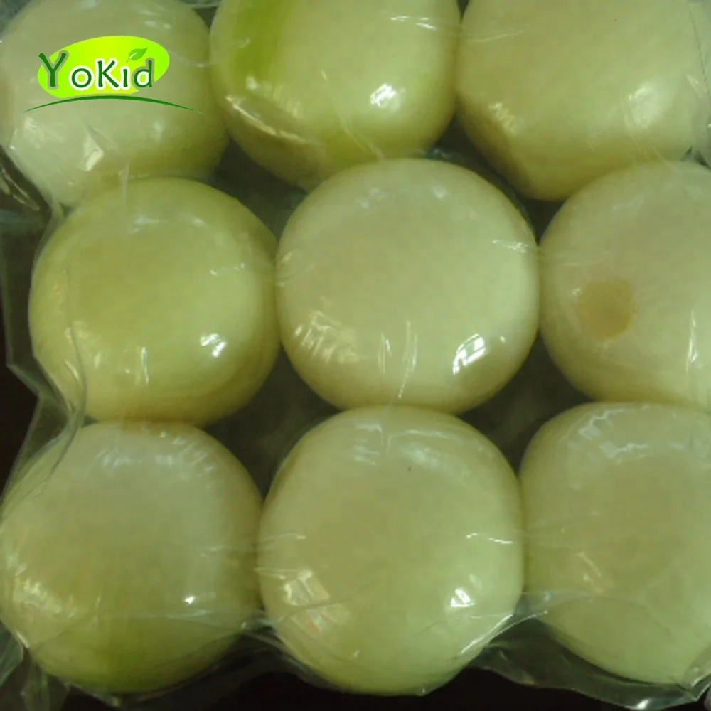 Fresh Organic Red Onion organic lowest natural price