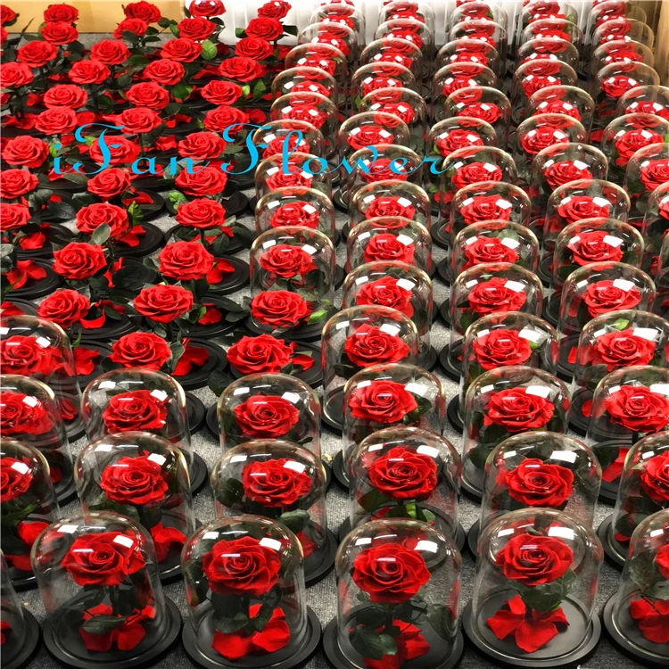New coming promotional wholesale real rose preserved roses flower in glass dome