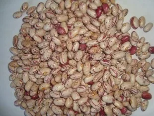 
LIGHT SPECKLED KIDNEY BEAN SUGAR BEAN PINTO BEAN 