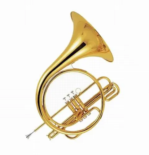 Piston 3 French horn, Gold French Horn, children tuba
