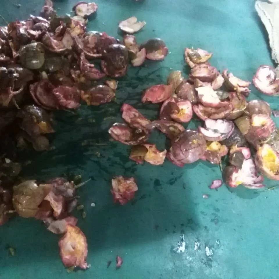 Industrial Unbroken Seeds Kumquat Lemon Passion Fruit Juicer Separator Processing Machine