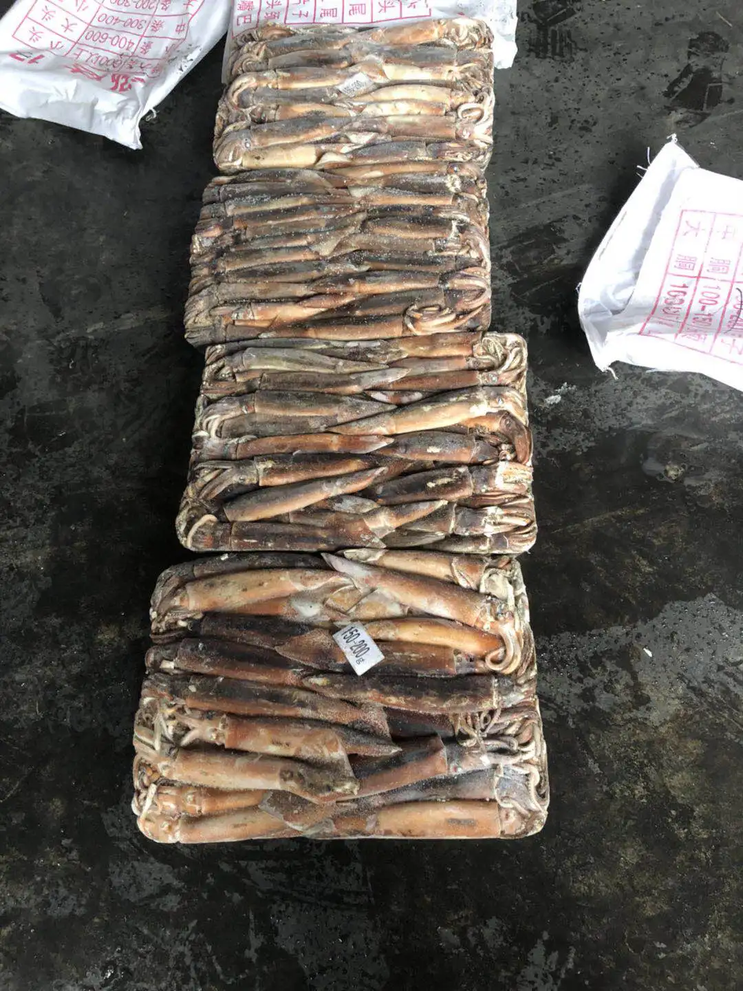 Argentina Squid 200-300g New Catch Raw Squid Price