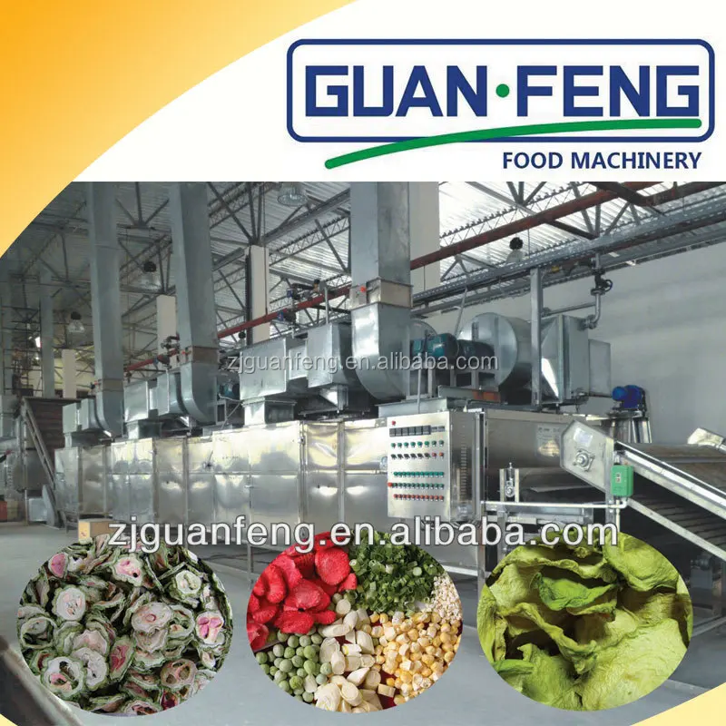 Stainless Steel Belt Conveyor Dryer Dehydrated Onion Production Line