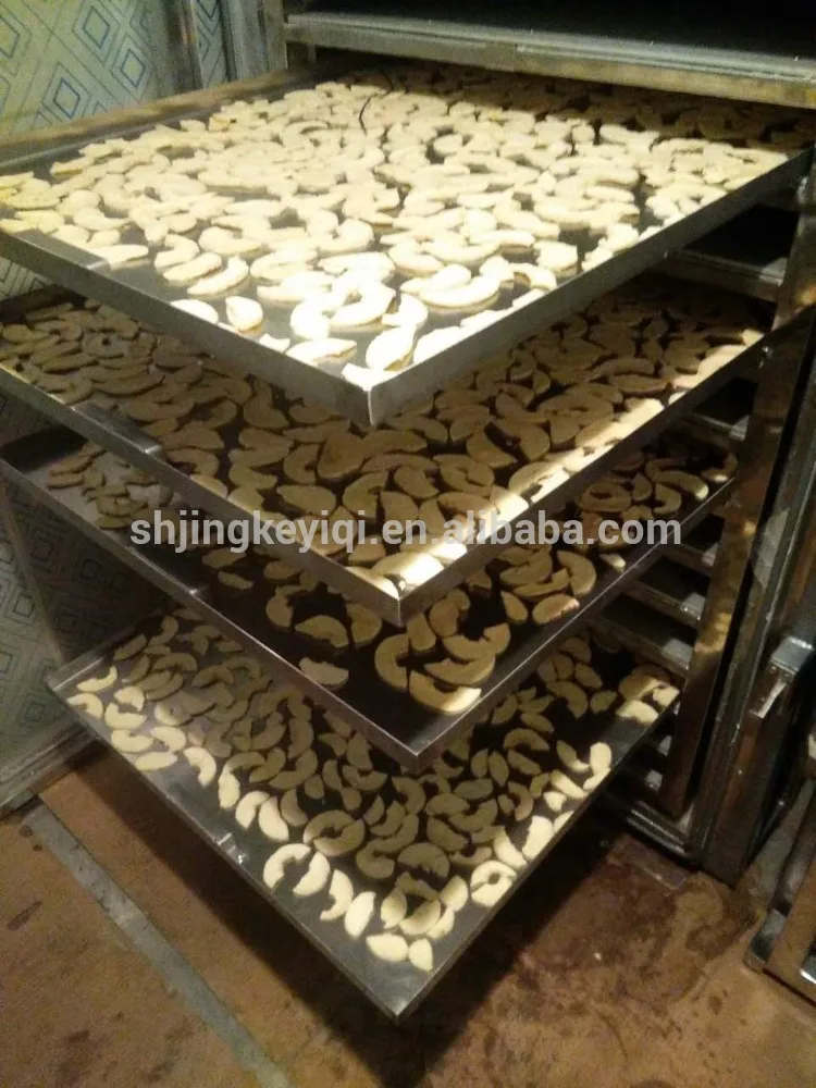 JK-FD-0.5N High Quality Fruit Freeze Dryer Price Vacuum Freeze Drying machine