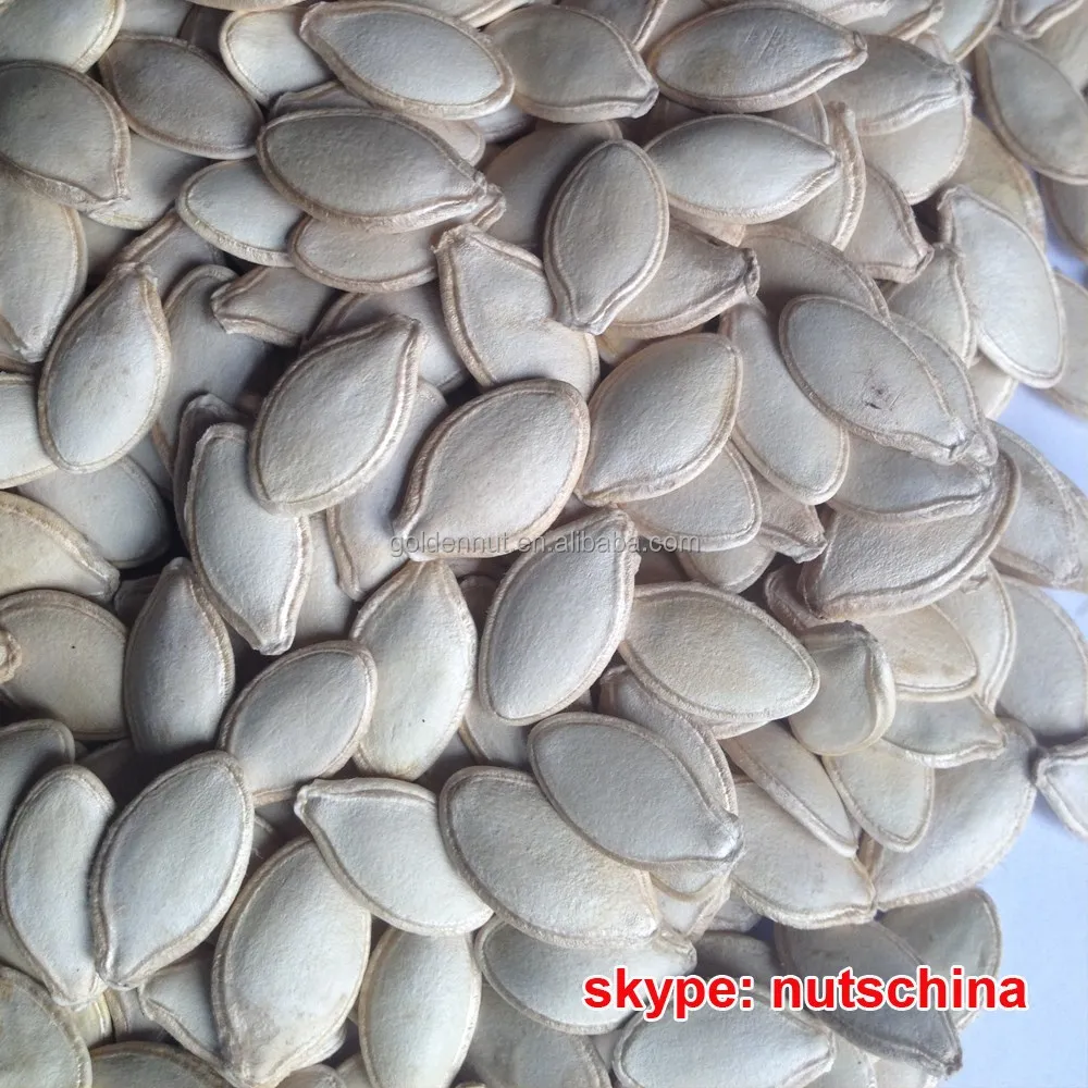 Shine Skin Pumpkin Seeds10 mm 11mm 10 cm up 11 cm up