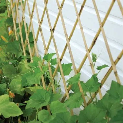 Natural Bamboo Folding Fence for Garden Decoration