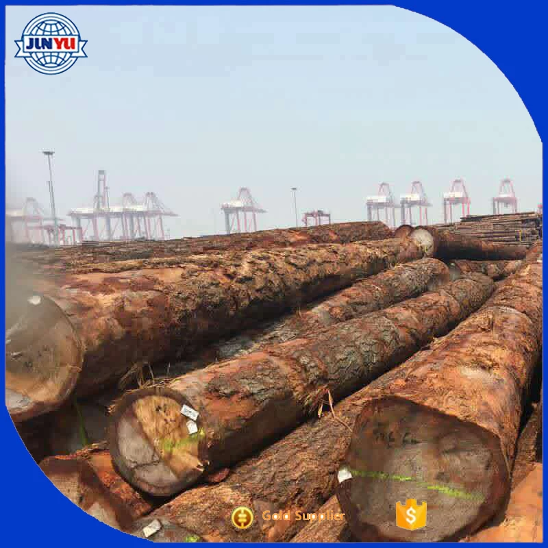 red pine lumber and logs red pine timber hot sale red pine logs export