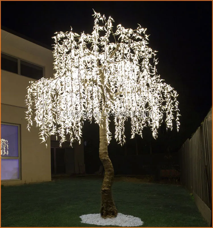 willow_tree4-692x930