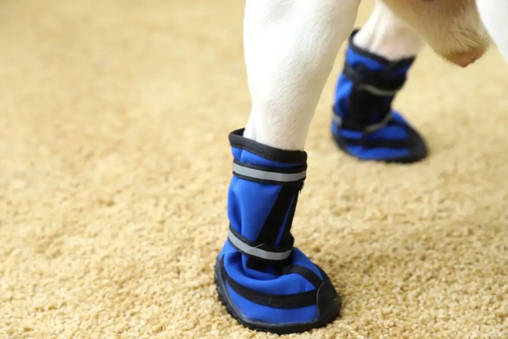 Petstar Pet Products Factory Pet Apparel Pet Waterproof Dog Shoes