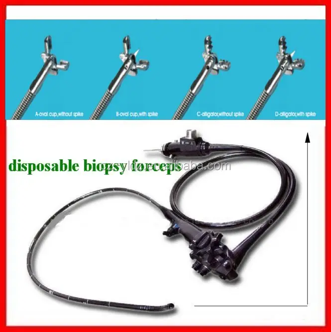 CE ISO 2.3mm Disposable Flexible Colonoscopy Serrated Tissue Sampling Biopsy Forceps