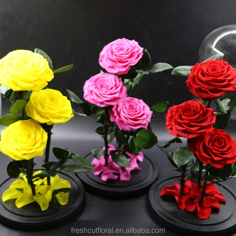 Wholesale Preserved Roses Preserved Roses With Stem in glass dome From Yunnan