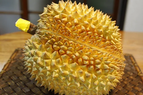 
FROZEN DURIAN WITH BEST PRICE AND HIGH GRADE 