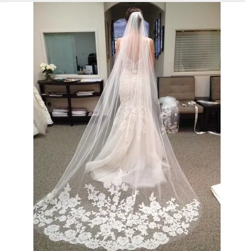 Wholesale Appliques Cathedral Length One layer Veil Accessories WF918