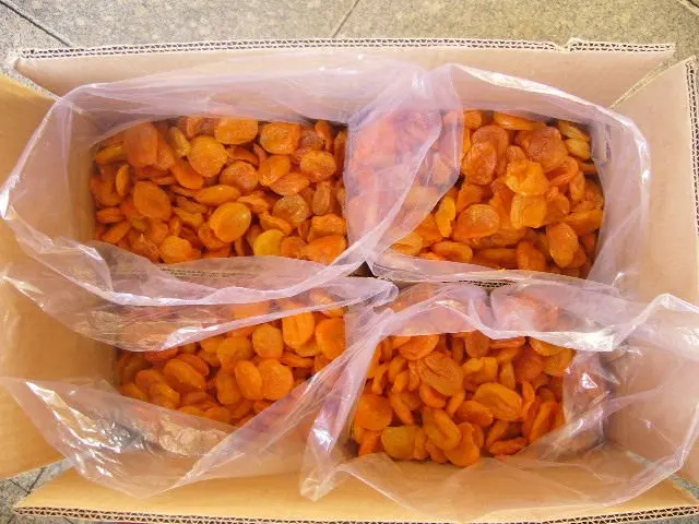 low price sweet dried apricot